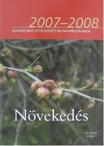 Nvekeds     Evanglikus gylekezeti munkaprogramok 2007-2008