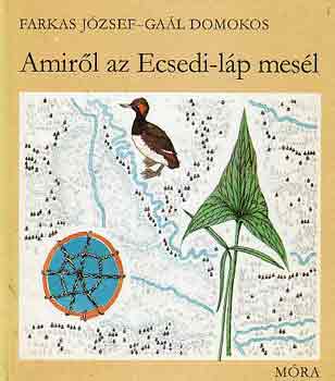 Amirl az Ecsedi-lp mesl