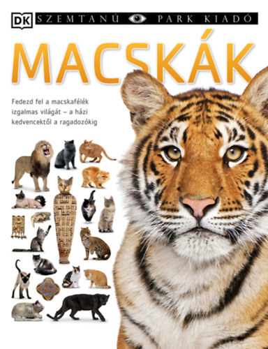 Macskk