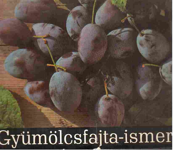 Gymlcsfajta-ismertet