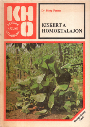 Kiskert a homoktalajon