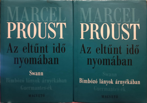 Az eltnt id nyomban I-II. (Swann - Bimbz lnyok rnykban)