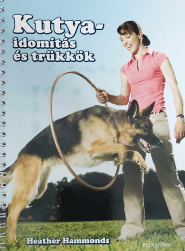 Kutyaidomts s trkkk (DVD nlkl)