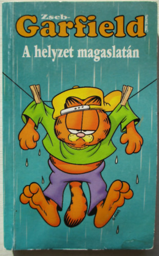 Zseb-Garfield: A helyzet magaslatn