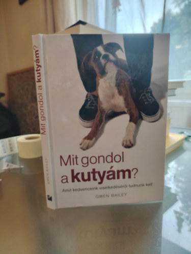Mit gondol a kutym? - Amit a kedvenceink viselkedsrl tudnunk kell