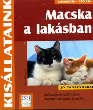 Macska a laksban /Kisllataink/