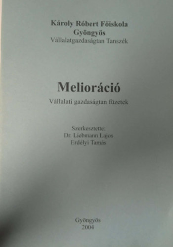 Melior�ci� - V�llalati gazdas�gtan f�zetek