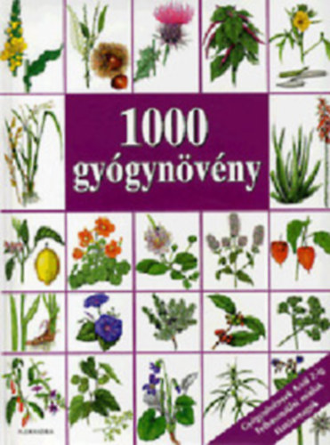 1000 gygynvny