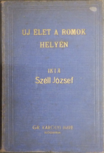 j let a romok helyn - Egy nemzetgazdasgi, szocilpolitikai s nemzetpolitikai intzmny tervrajza (Grf Krolyi Imre elszavval)