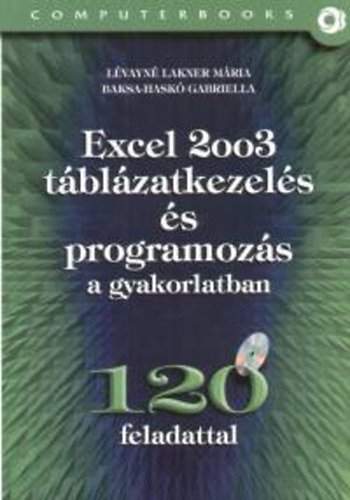 Excel 2003 tblzatkezels s programozs a gyakorlatban