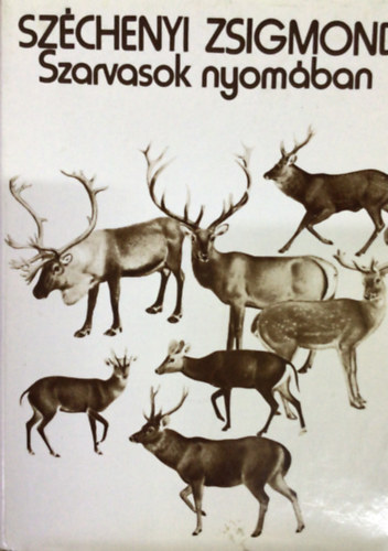 Szarvasok nyomban