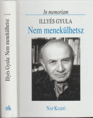 Nem meneklhetsz (In memoriam Illys Gyula)