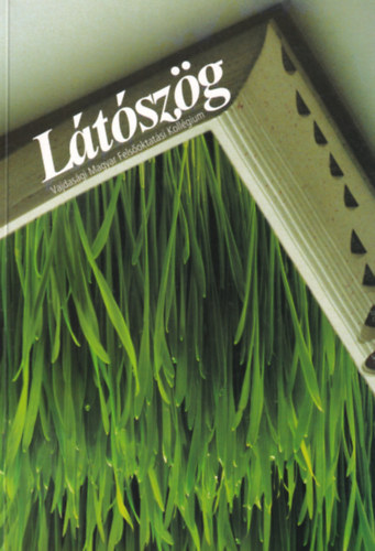 Ltszg