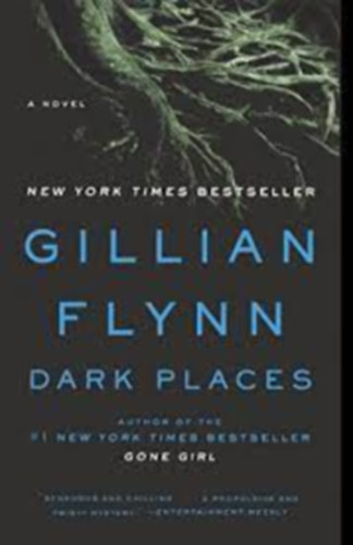 Gillian Flynn - Dark Places