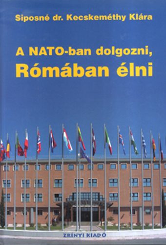 A NATO-ban dolgozni, Rmban lni