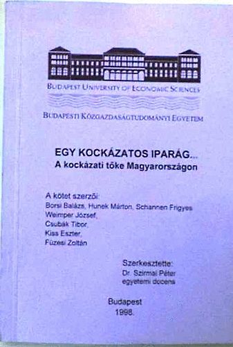 Egy kockzati iparg - A kockzati tke Magyarorszgon