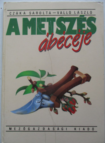 A metsz�s �b�c�je
