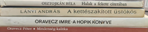 Magyar kortrs knyvcsomag