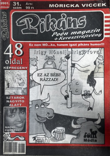 Pikns pon magazin - 31. szm - 2001. janur