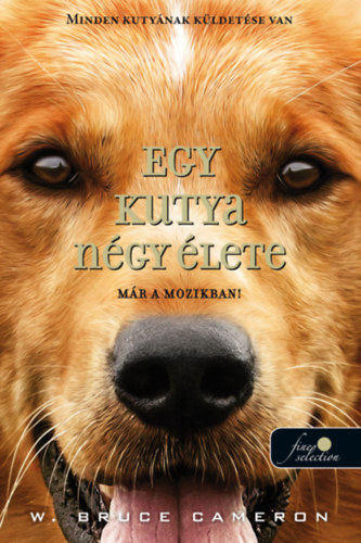 Egy kutya ngy lete - puha kts