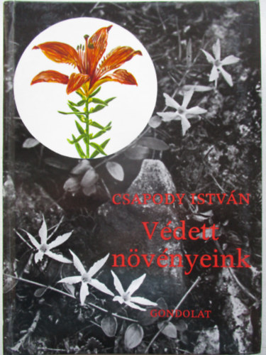 Vdett nvnyeink