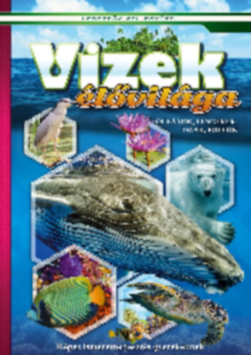 Vizek �l�vil�ga - �ce�nok, tengerek, foly�k, tavak - K�pes ismeretterjeszt�s gyerekeknek