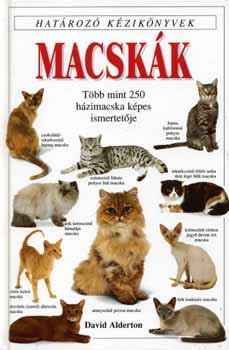Macskk - Hatroz kziknyvek