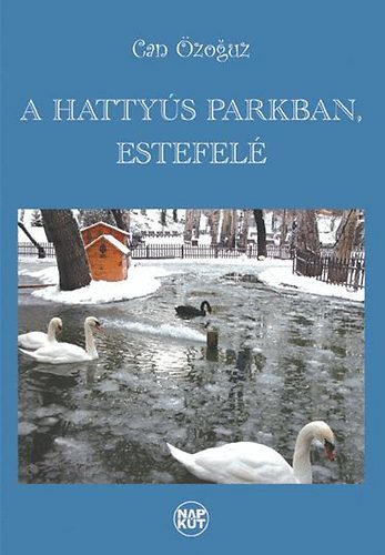 A hattys parkban, estefel