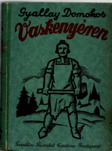 Vaskenyren