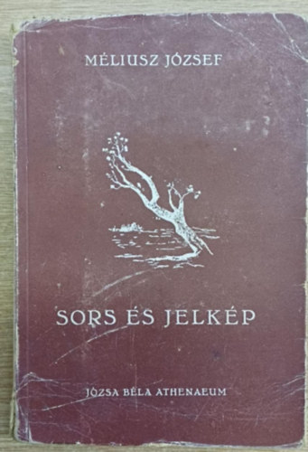 Sors �s jelk�p