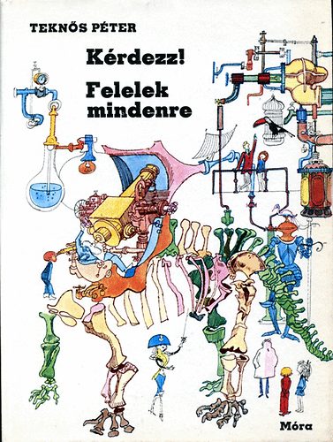 Krdezz! Felelek mindenre