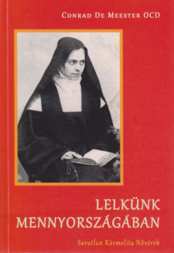Lelknk mennyorszgban