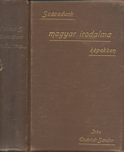 Szzadunk magyar irodalma kpekben (Szchenyi fllpstl a kiegyezsig)