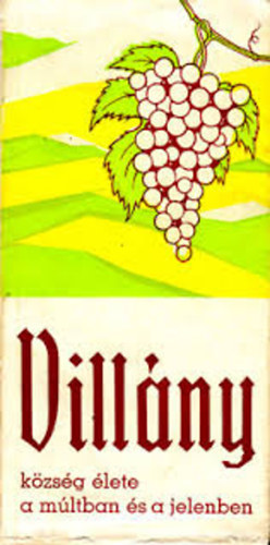 Dr. Kov�cs Andr�s - Vill�ny k�zs�g �lete a m�ltban �s a jelenben