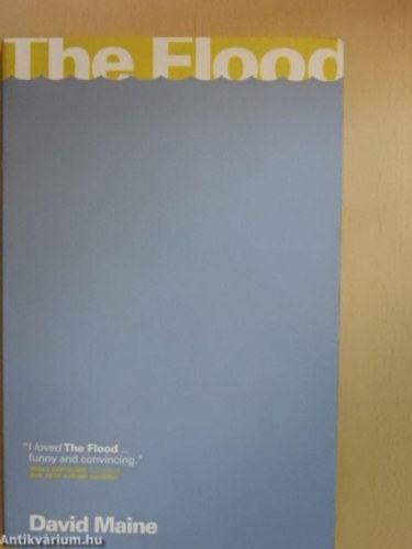 Jean-Marie Gustave Le Clézio - The flood