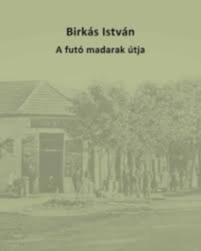 Birks Istvn - A fut madarak tja
