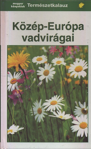Kzp-Eurpa vadvirgai