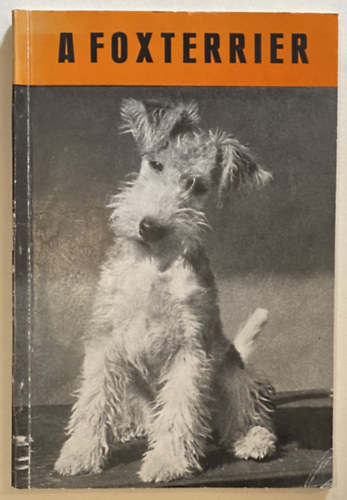 A foxterrier