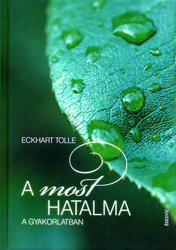 Eckhart Tolle - A most hatalma a gyakorlatban (Nlklzhetetlen tantsok, meditcik s gyakorlatok a pillanat erejnek felismershez)