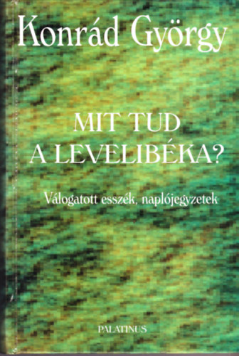 Mit tud a levelibka?