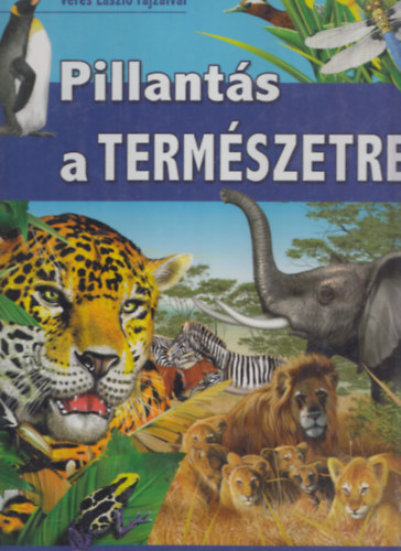 Pillants a termszetre