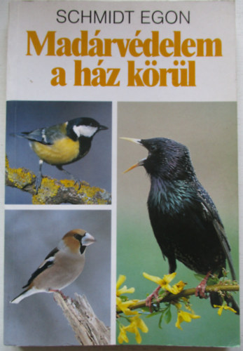 Madrvdelem a hz krl
