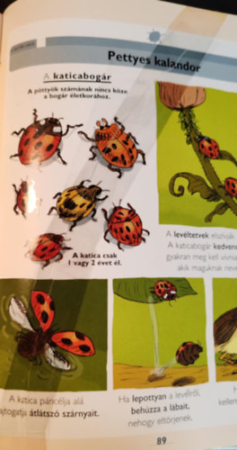 Els Larousse knyvem az llatokrl
