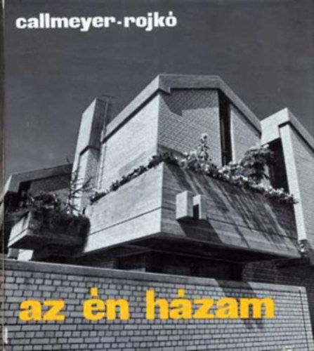 Az n hzam - ...MINDENKINEK, KI KRNYEZETT BECSLI, SZERETI (A csaldi hz; A tervezs szakemberei - az ptsi hatsg; Az telek; A tervezs elemei - az ptszet rviden; A hz formlsa; pletszerkezetek; Htechnikai s