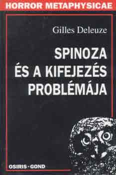 Spinoza s a kifejezs problmja