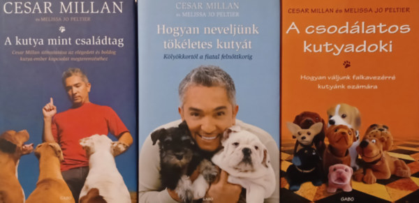 Hogyan neveljnk tkletes kutyt + A kutya mint csaldtag + A csodlatos kutyadoki (3 m)
