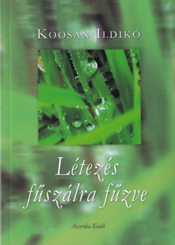 Ltezs fszlra fzve