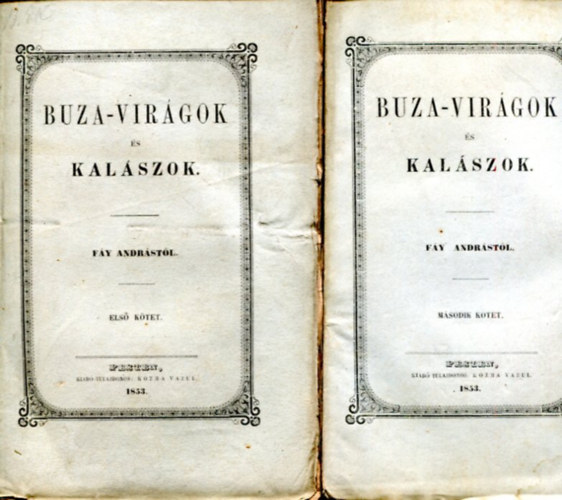 Buza-virgok s kalszok I-II. ktet