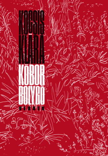 Kbor bolyg