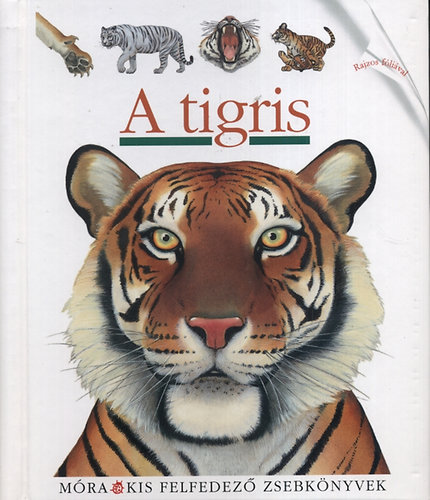 A tigris - Kis felfedez zsebknyvek 13.